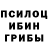 Псилоцибиновые грибы ЛСД VPositive :3