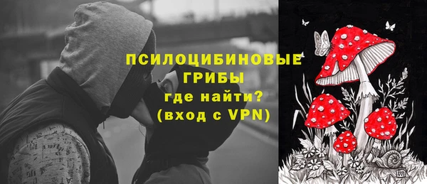 спиды Арсеньев
