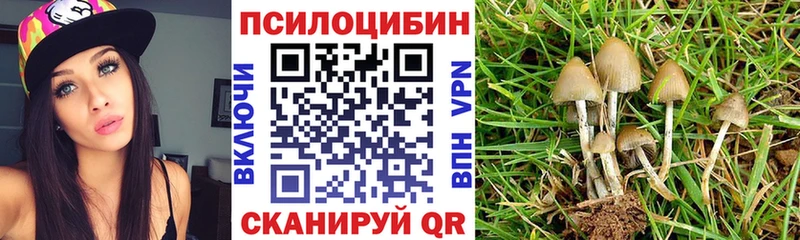 что такое   Реж  Галлюциногенные грибы Cubensis 